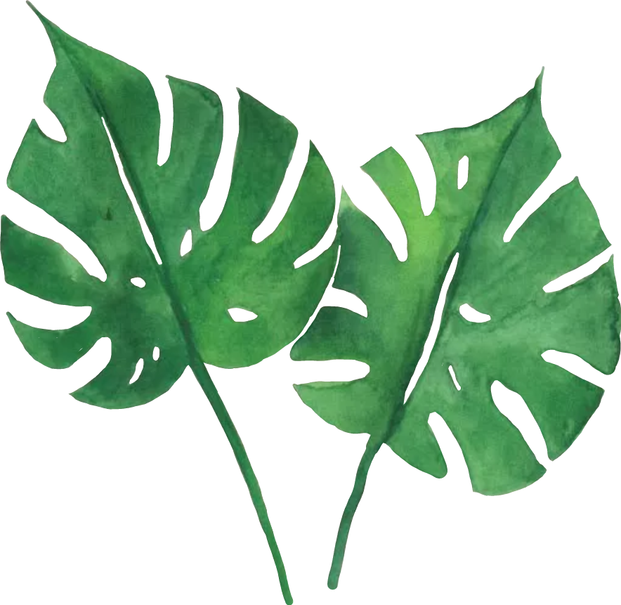 Watercolor Tropical Leaves Png